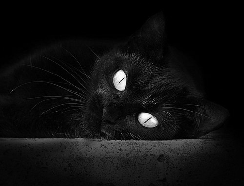 九游娱乐APP-【场地优势】不同球场对比赛结果的影响详解，每个球场大小不同