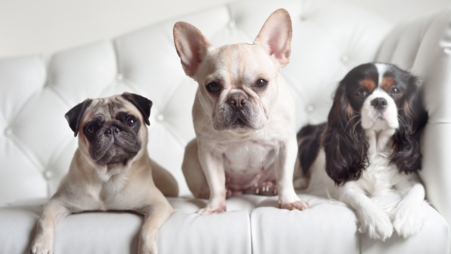 JIU YOU GAME-以“篮球文化+旅游”新模式打造体育旅游产业链,篮球文化之旅